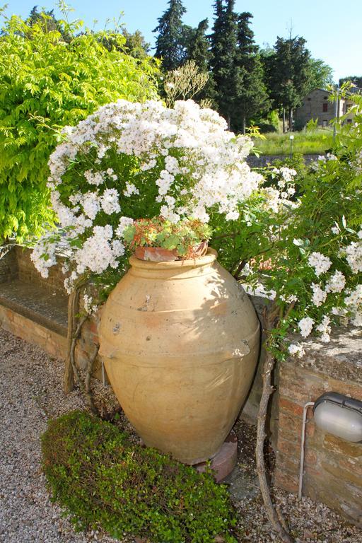 Relais Mastro Cinghiale Bed & Breakfast Paciano Exterior foto